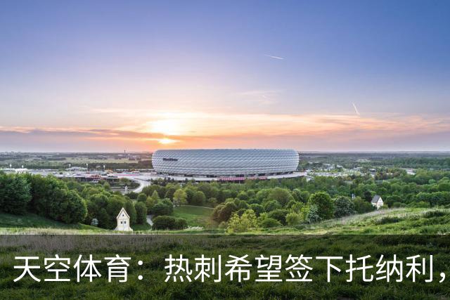 天空体育：热刺希望签下托纳利，他是德泽尔比的头号目标